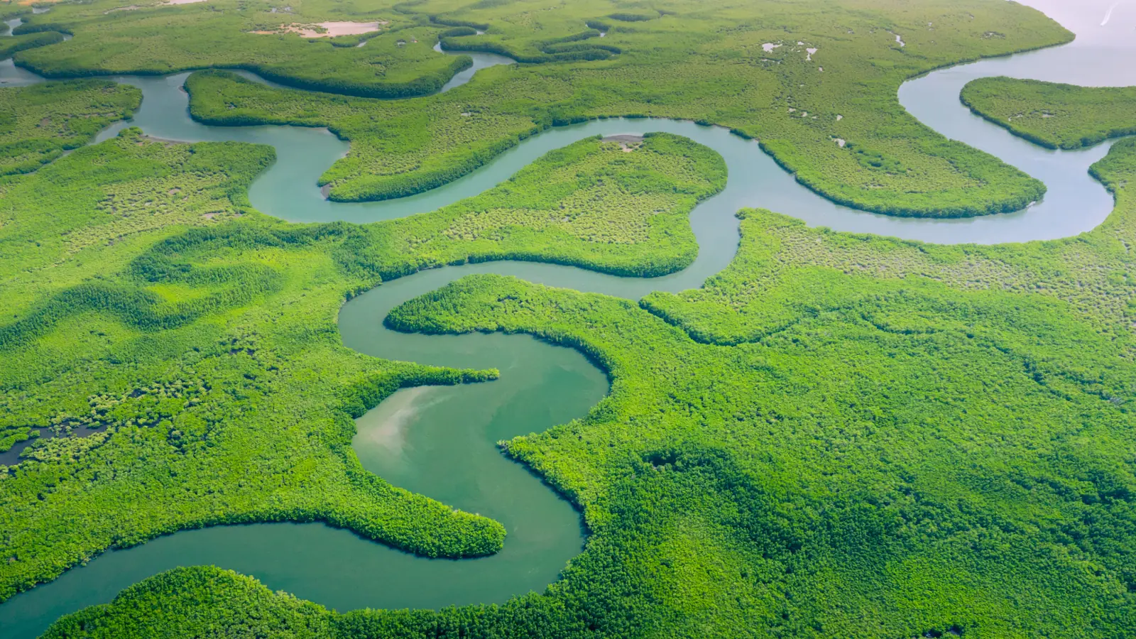 Rio sinuoso cortando a Floresta Amazônica, visto de cima